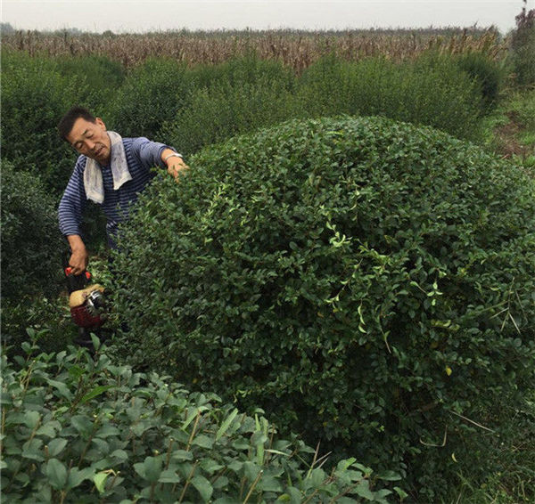 k8凯发(中国)天生赢家·一触即发