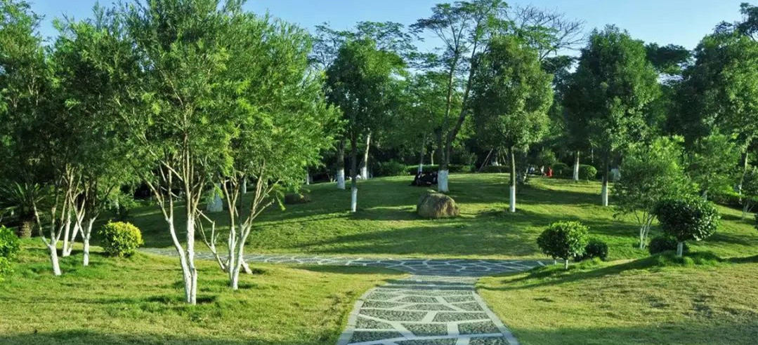 k8凯发(中国)天生赢家·一触即发