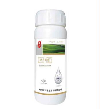 k8凯发(中国)天生赢家·一触即发